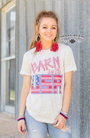 Barn in the USA Tee